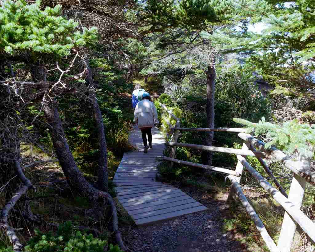 Two ladies walking on a trail