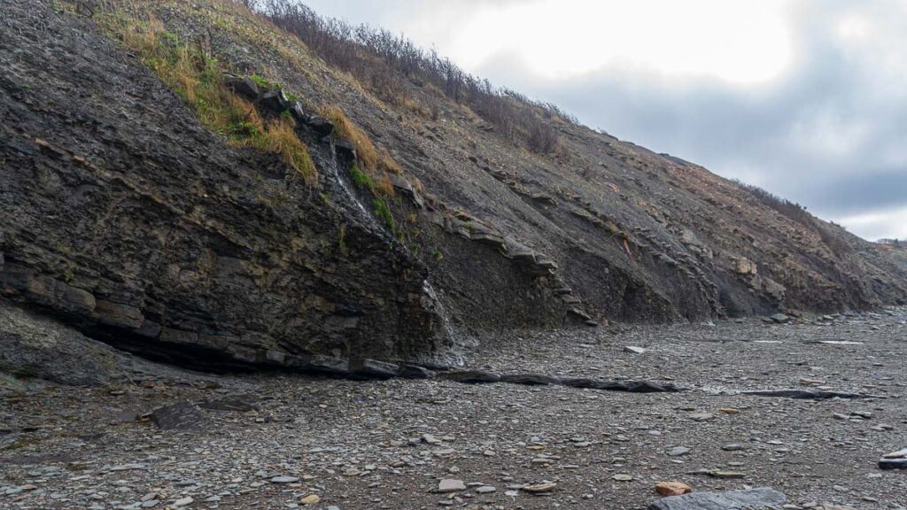 Jagged Cliffs at Joggins