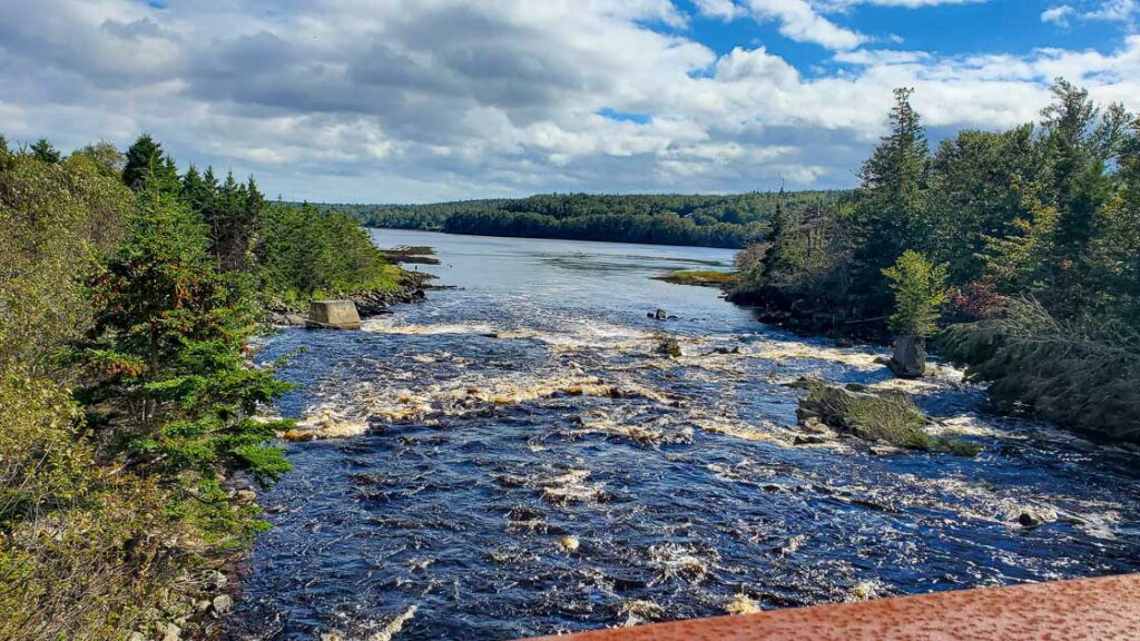 River in Sheet Harbour from the foot bridge.