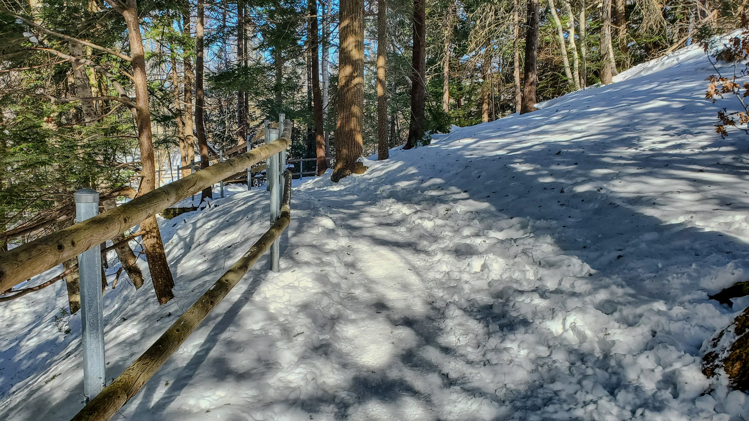 Shubie Park Trail from February 2024 adventures in Nova Scotia